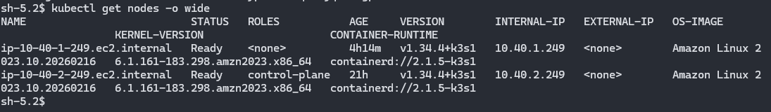 Kubernetes Nodes Overview